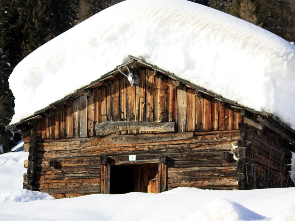 Centro Thule - Genziana Appartement Selva di Cadore Buitenkant foto