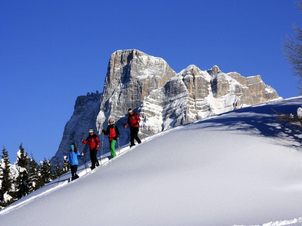 Centro Thule - Genziana Appartement Selva di Cadore Buitenkant foto